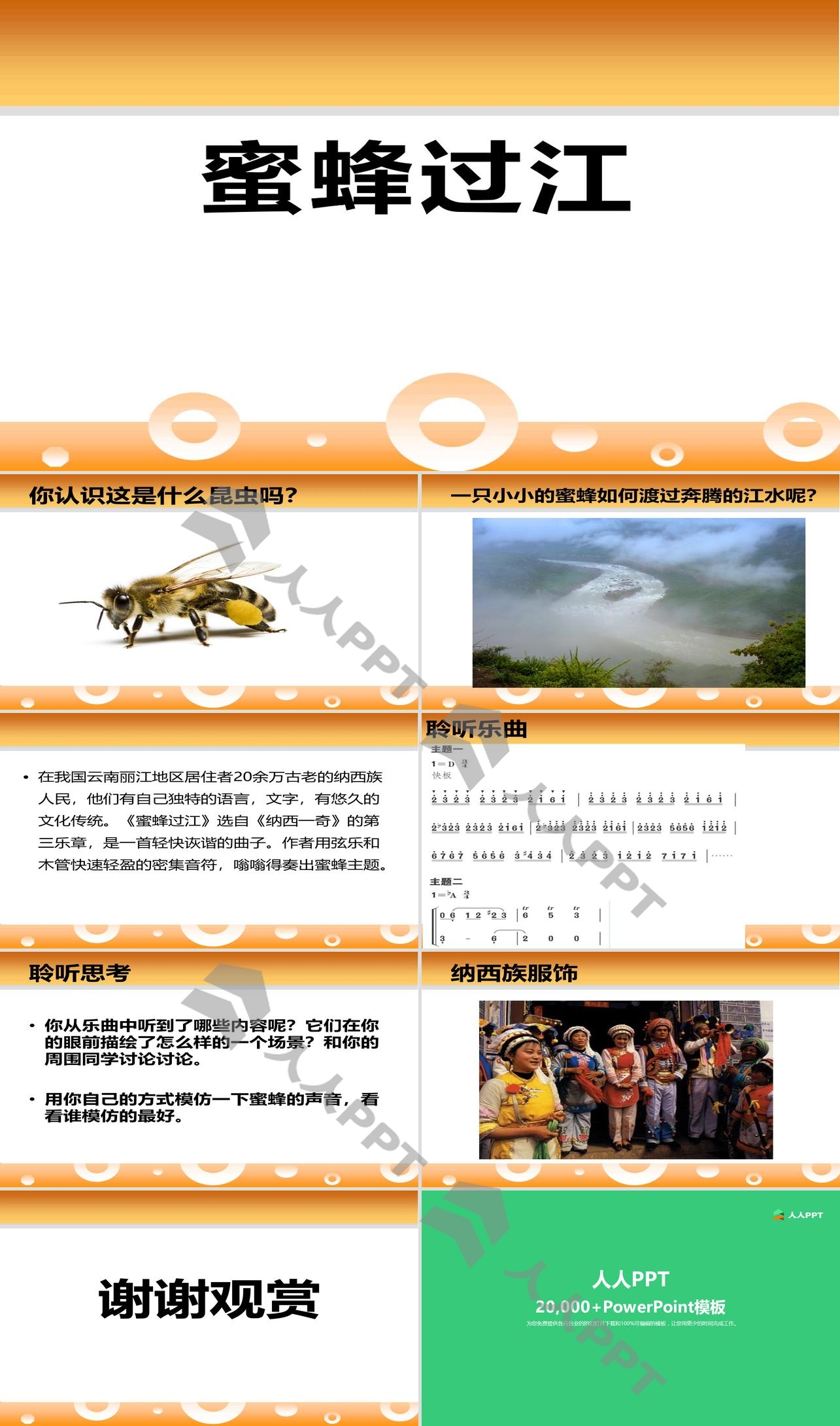 《蜜蜂过江》PPT课件2长图