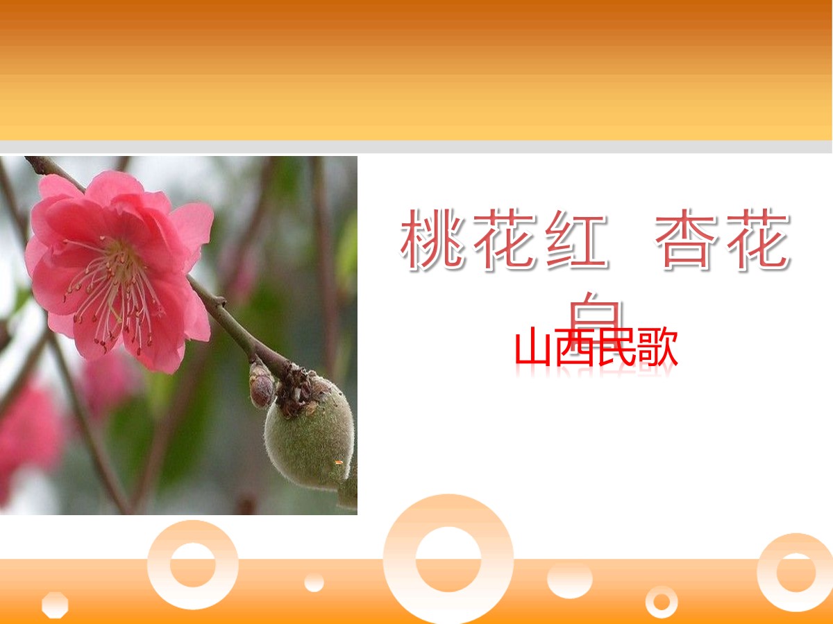 《桃花红杏花白》PPT课件