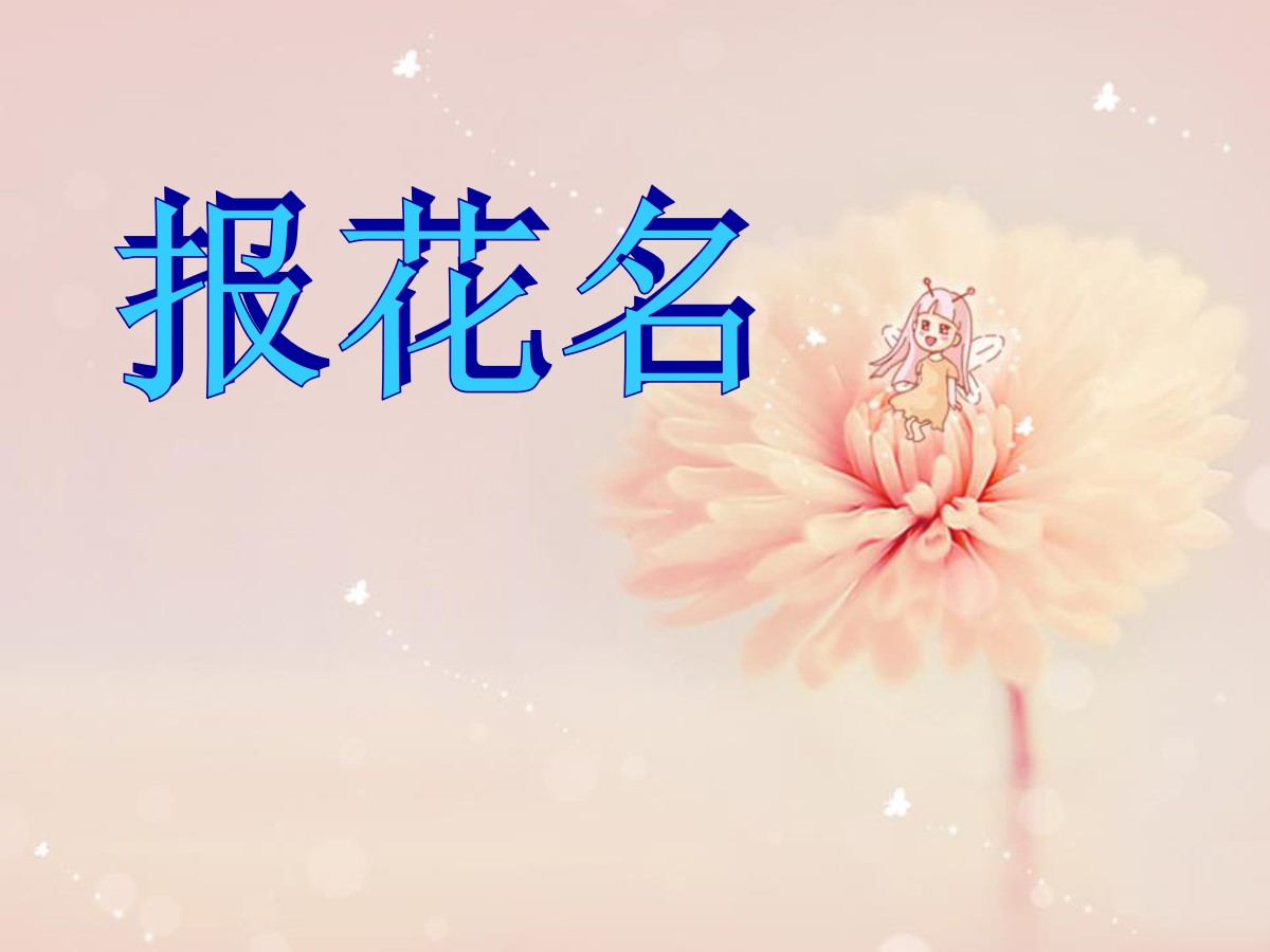 《报花名》PPT课件