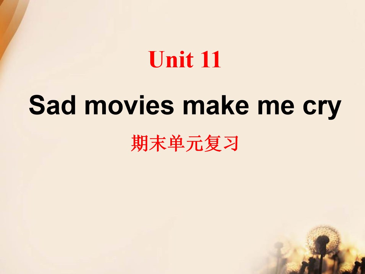 《Sad movies make me cry》PPT课件11