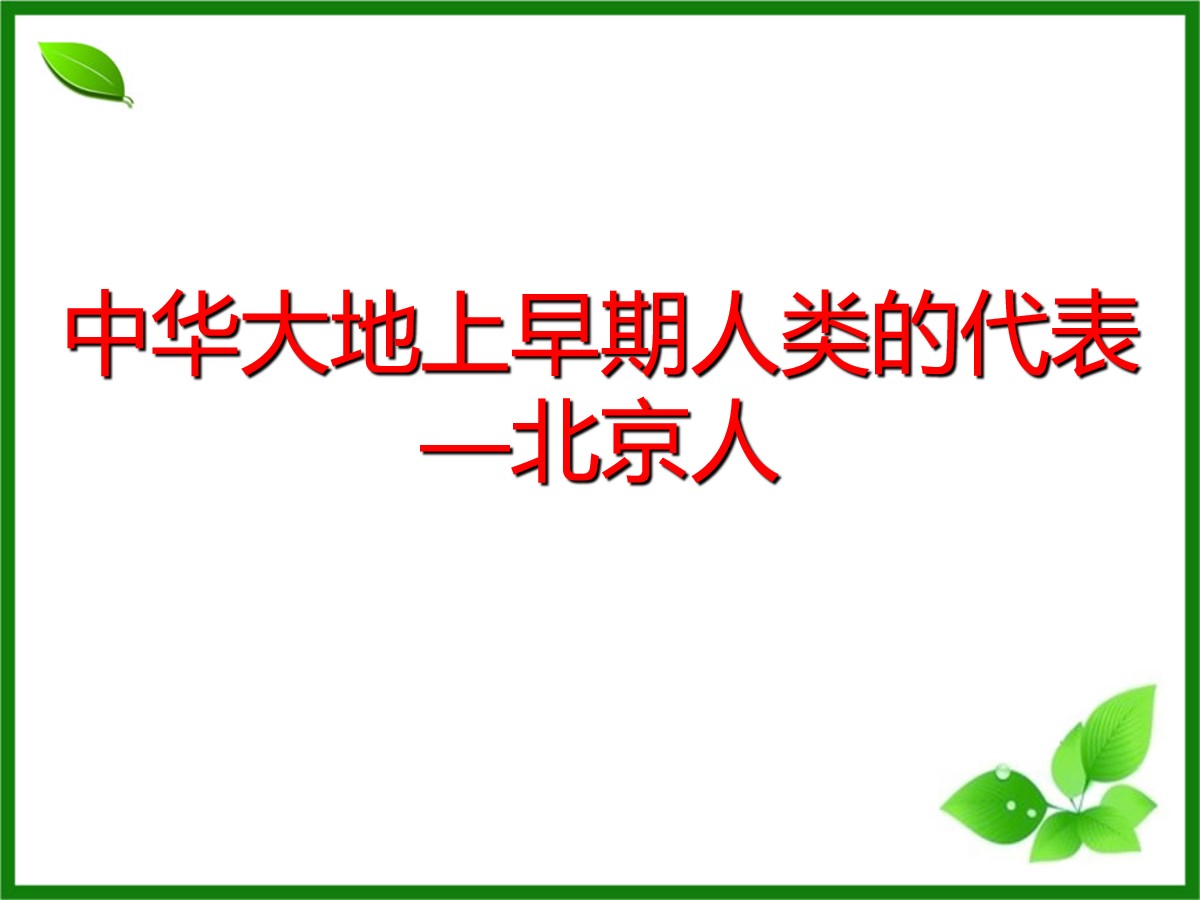 《中华大地早期人类的代表―北京人》中华大地上的史前时代PPT课件2