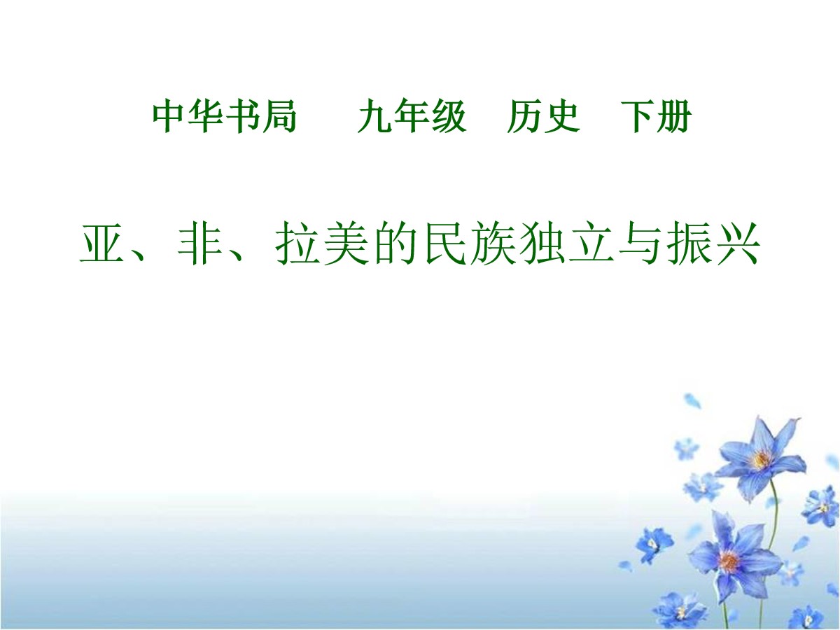 《亚、非、拉美的民族独立与振兴》两极格局下的世界PPT课件2