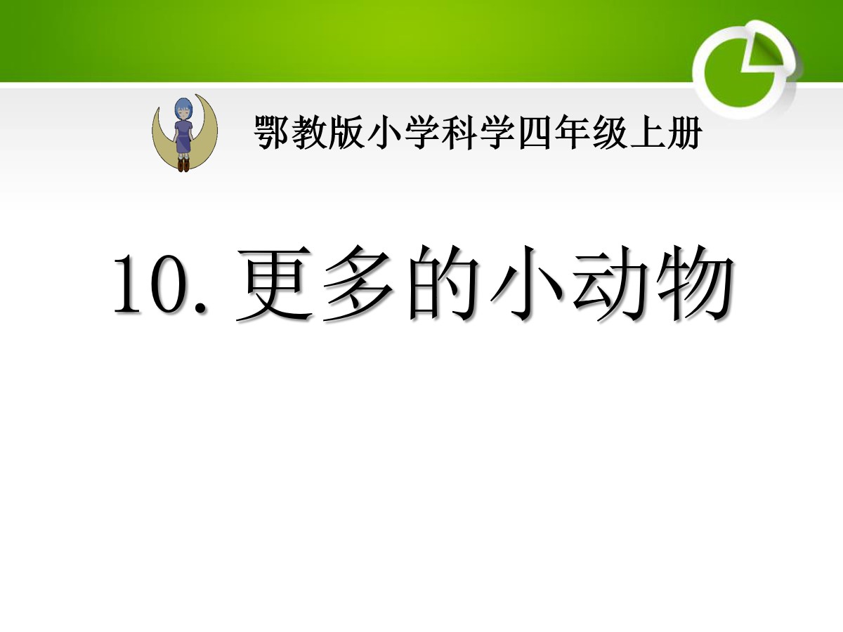 《更多的小动物》寻访校园里的动植物PPT课件2