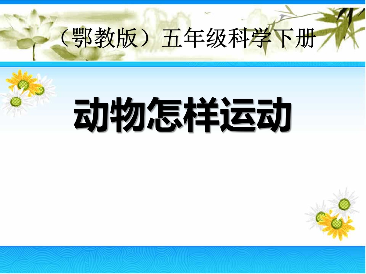 《动物怎样运动》PPT课件