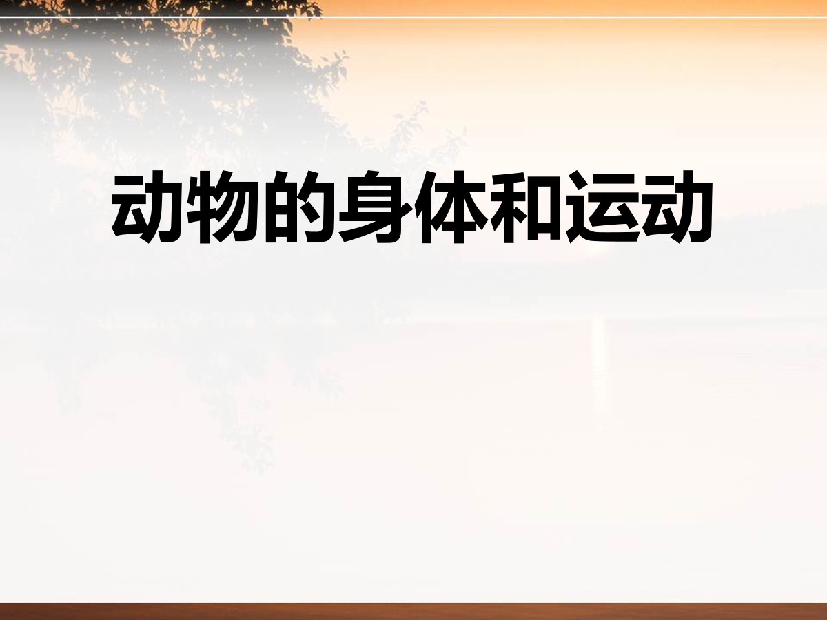 《动物的身体和运动》动物的生活PPT课件