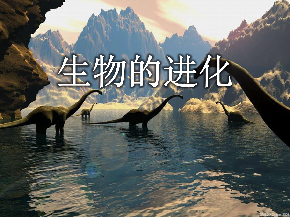 《生物的进化》生物与环境PPT课件