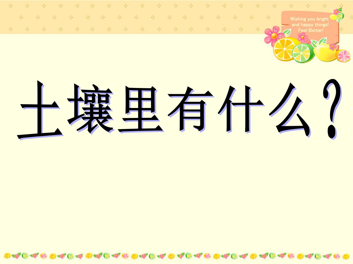 《土壤里有什么》PPT