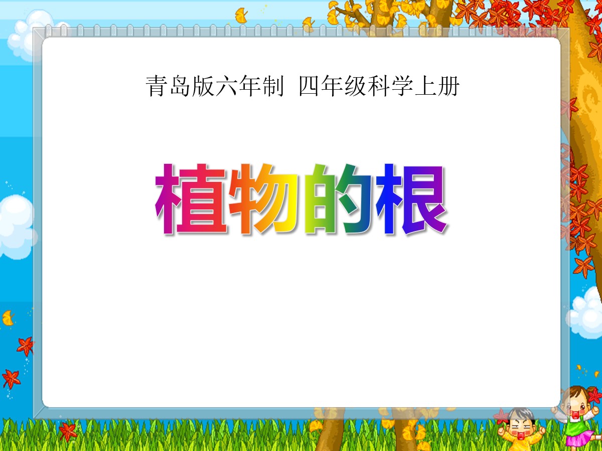 《植物的根》PPT