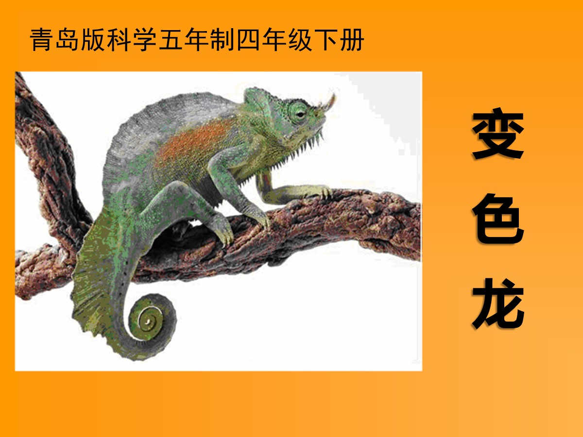 《变色龙》PPT