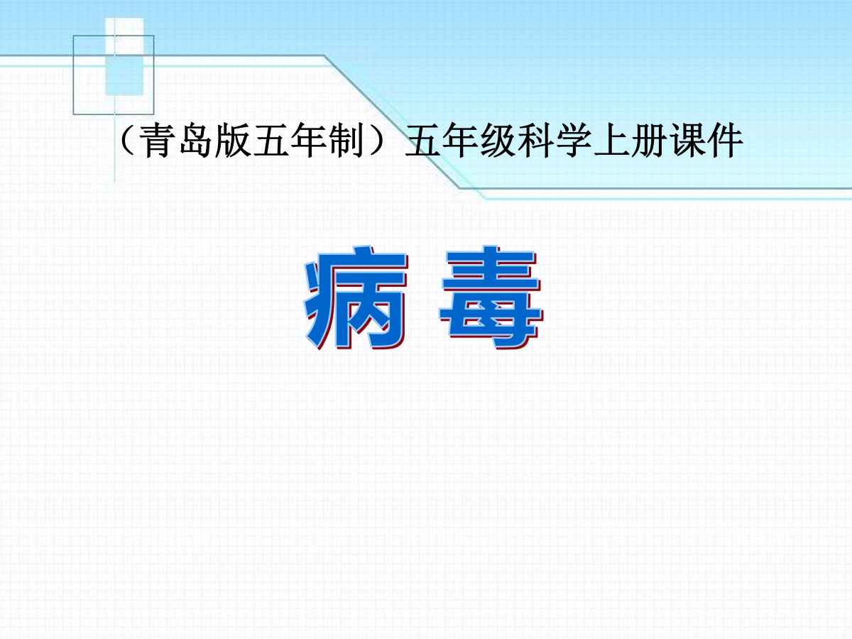 《病毒》PPT