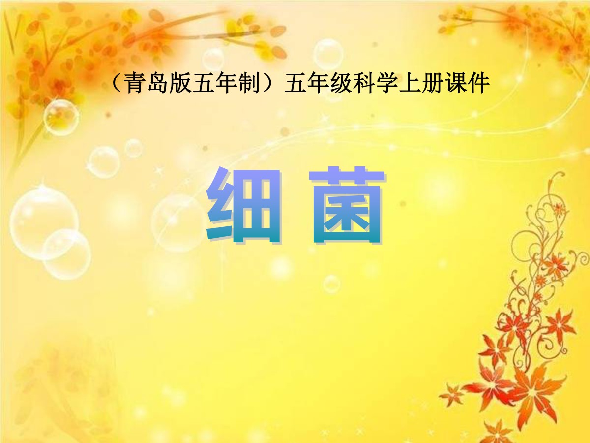 《细菌》PPT