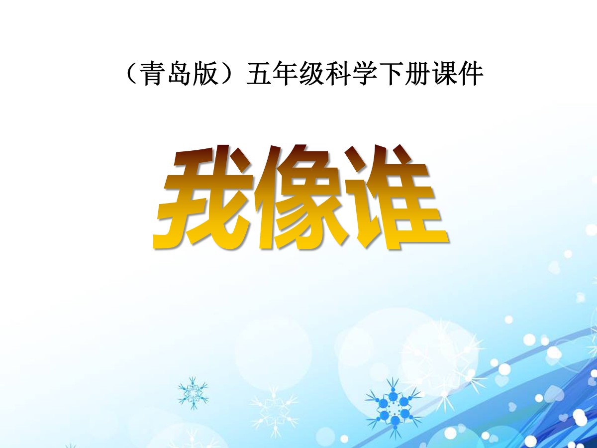 《我像谁》PPT