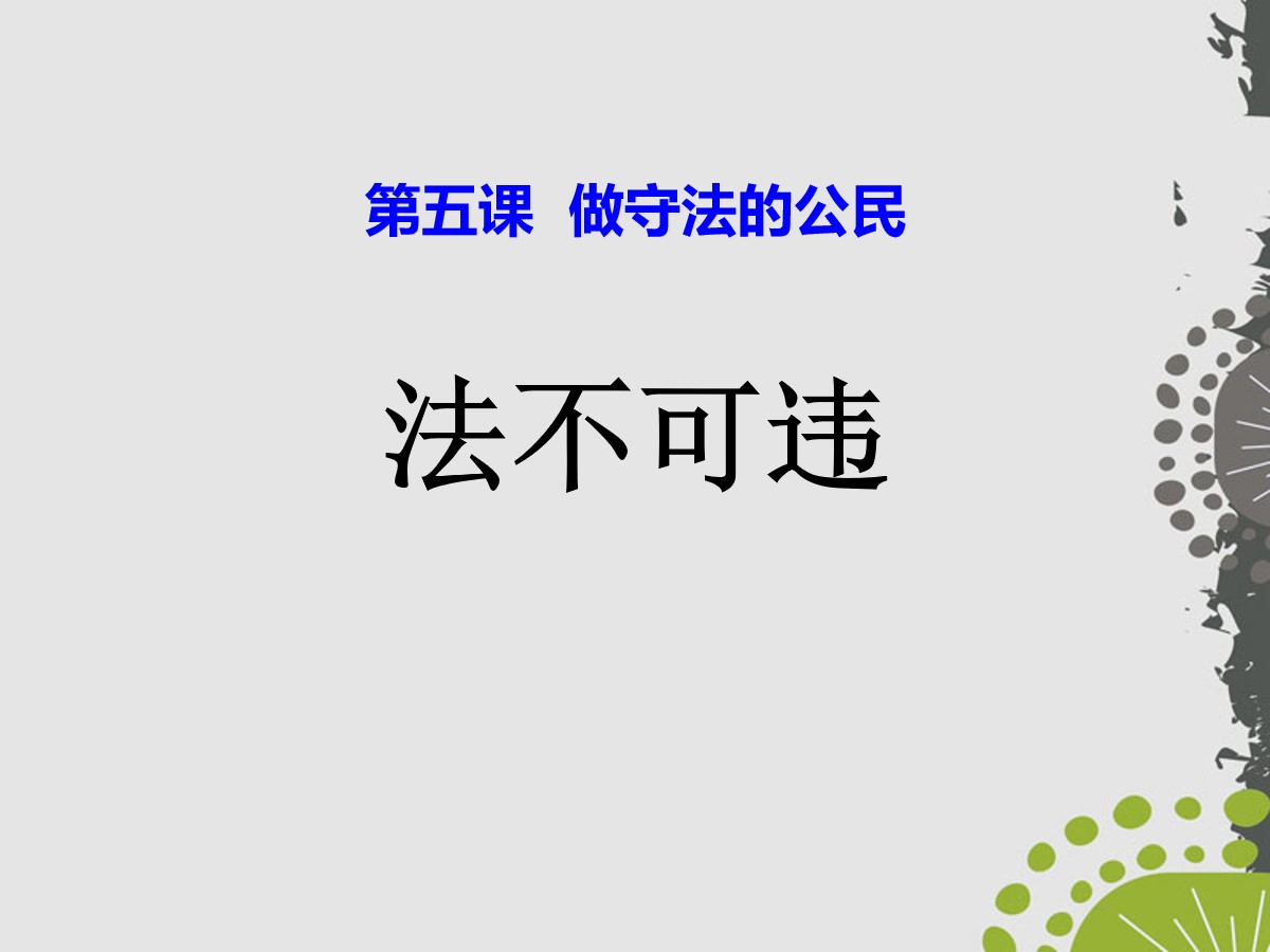 《法不可违》PPT