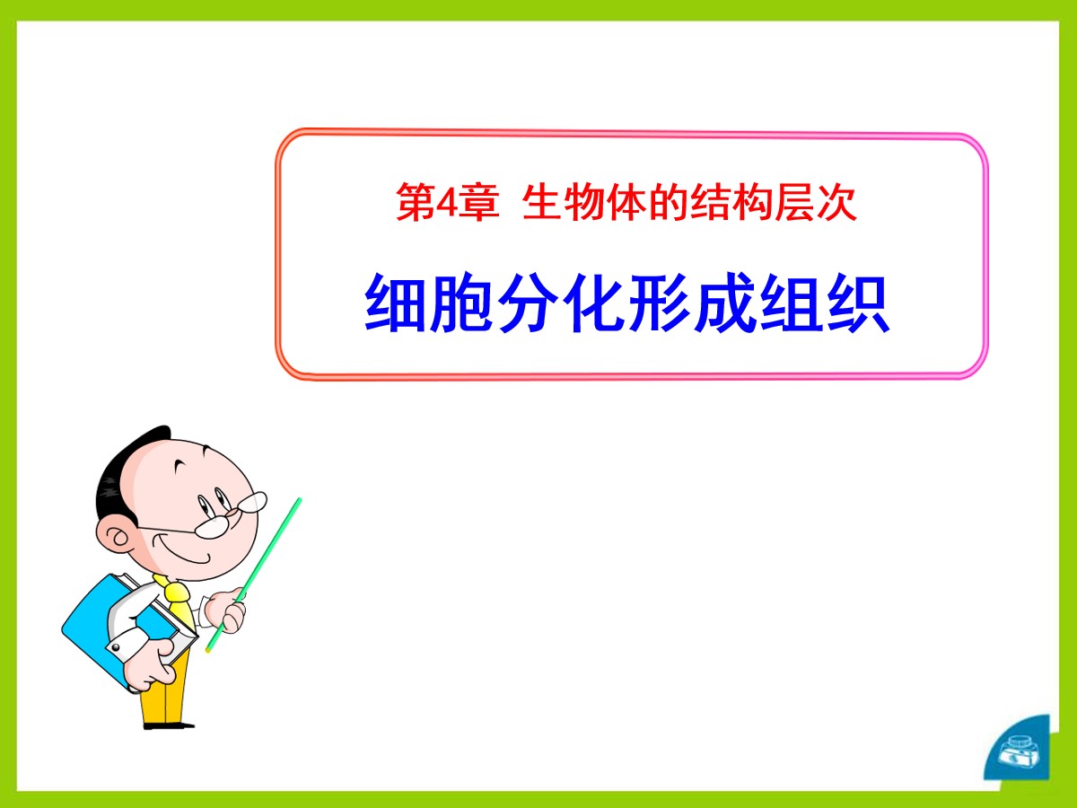 《细胞分化形成组织》PPT