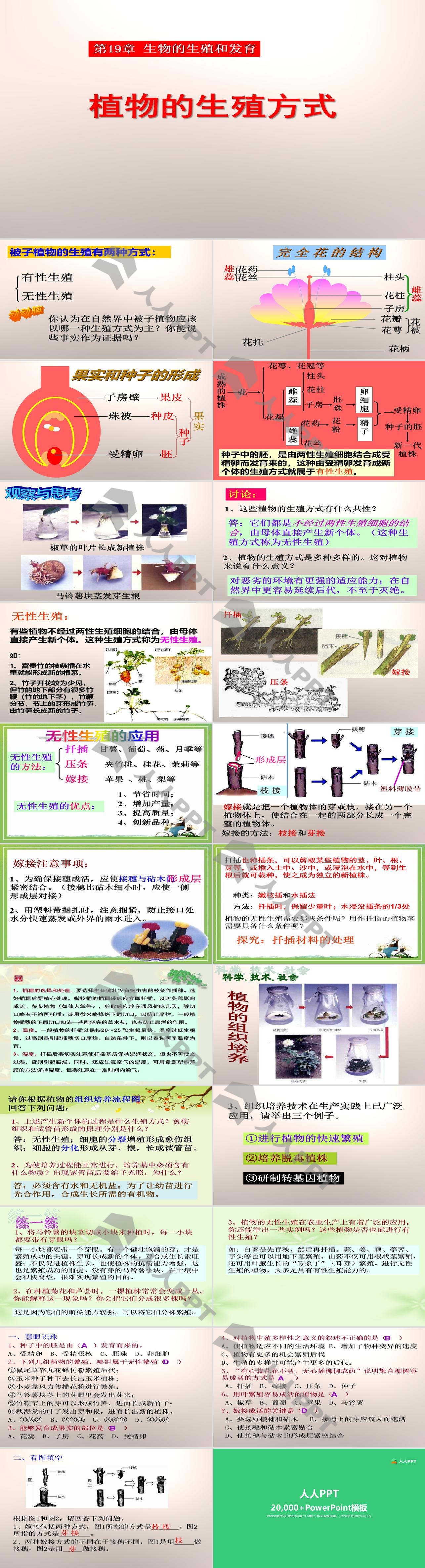 《植物的生殖方式》PPT课件长图