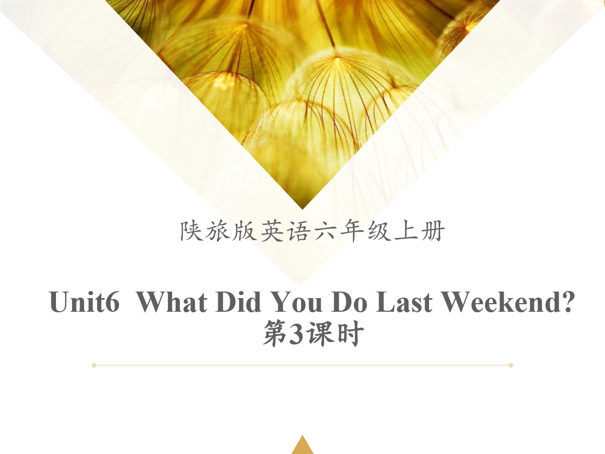 《What Did You Do Last Weekend?》PPT课件