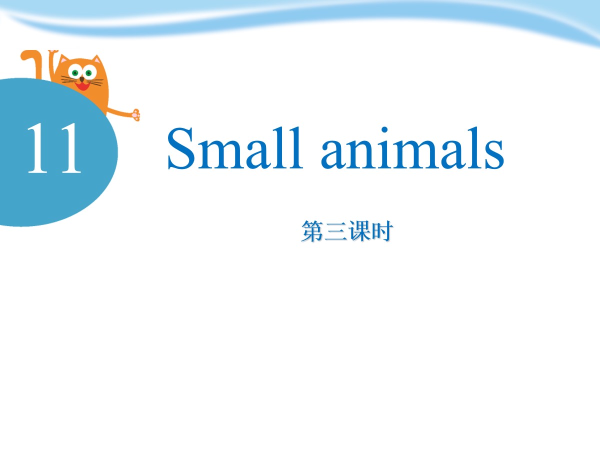 《Small animals》PPT