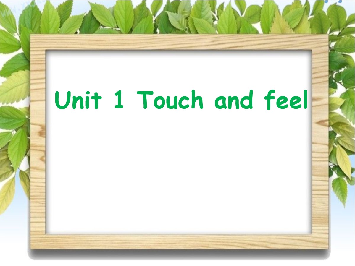 《Touch and feel》PPT