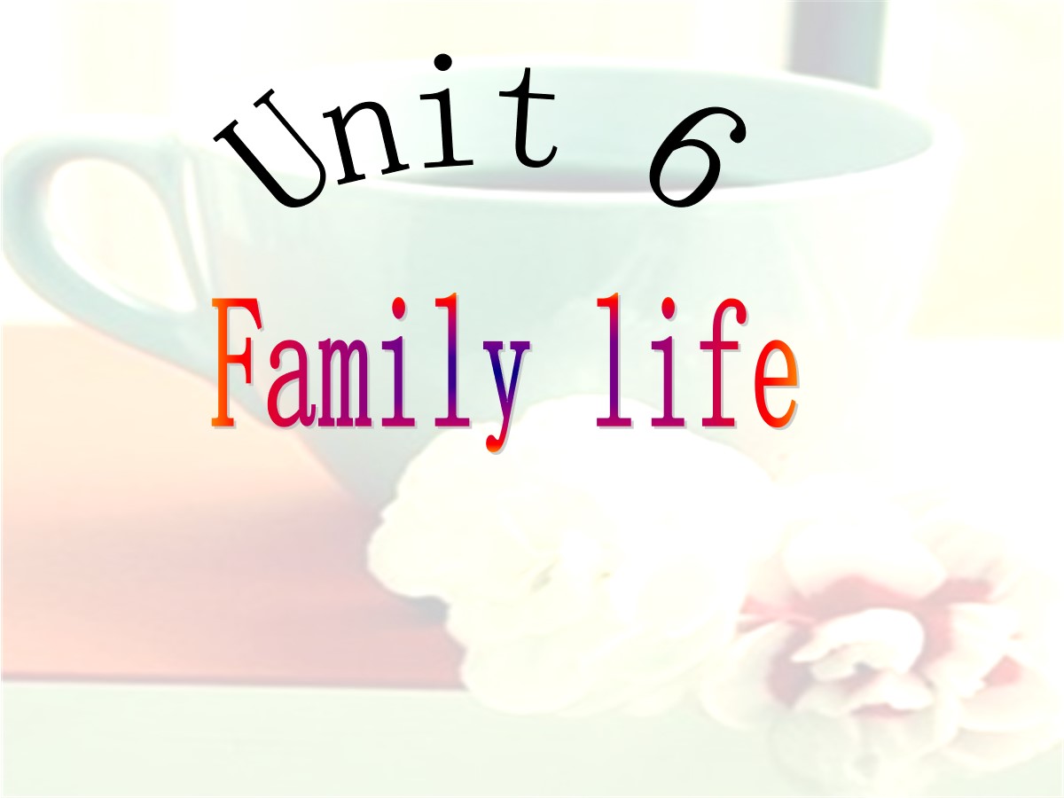 《Family life》PPT