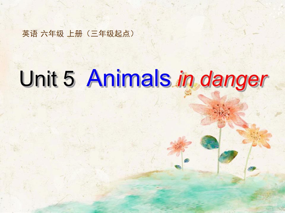 《Animals in danger》PPT课件