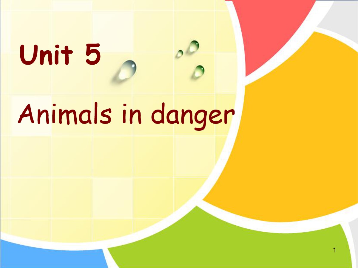 《Animals in danger》PPT