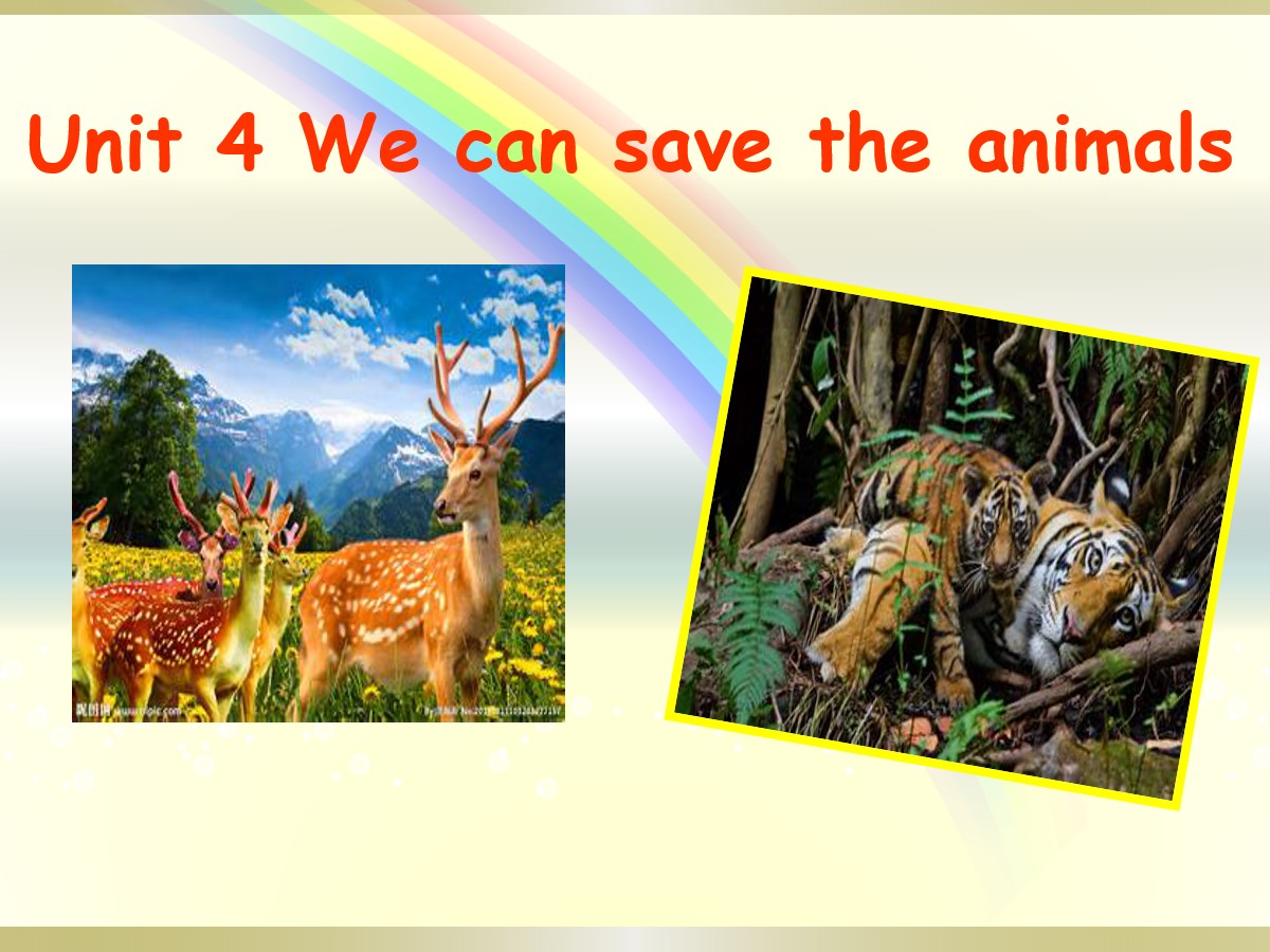 《We can save the animals》PPT课件
