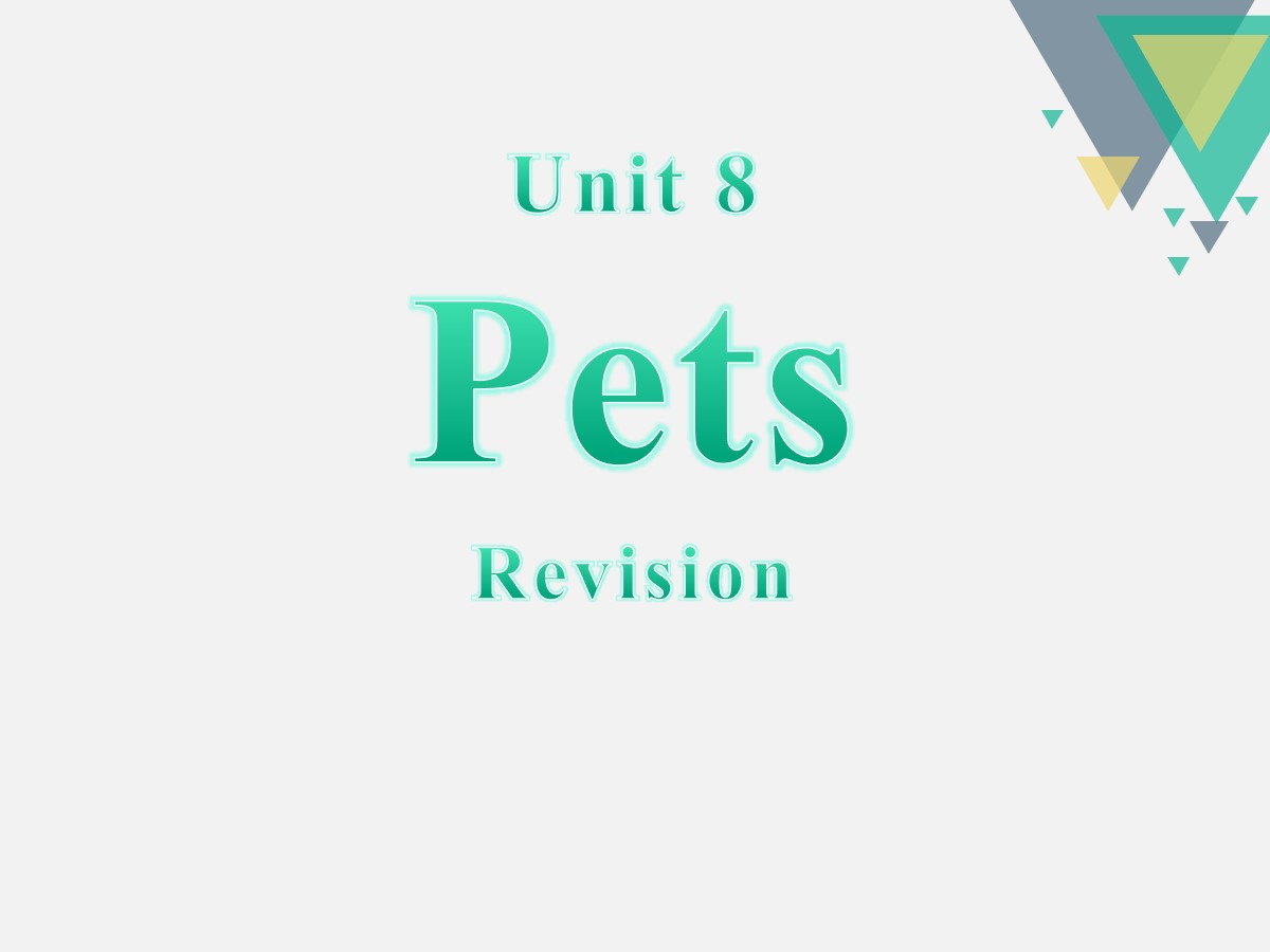 《Pets》RevisionPPT