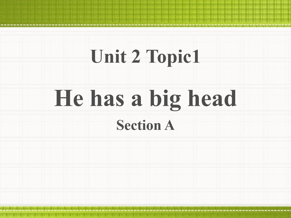 《He has a big head》SectionA PPT
