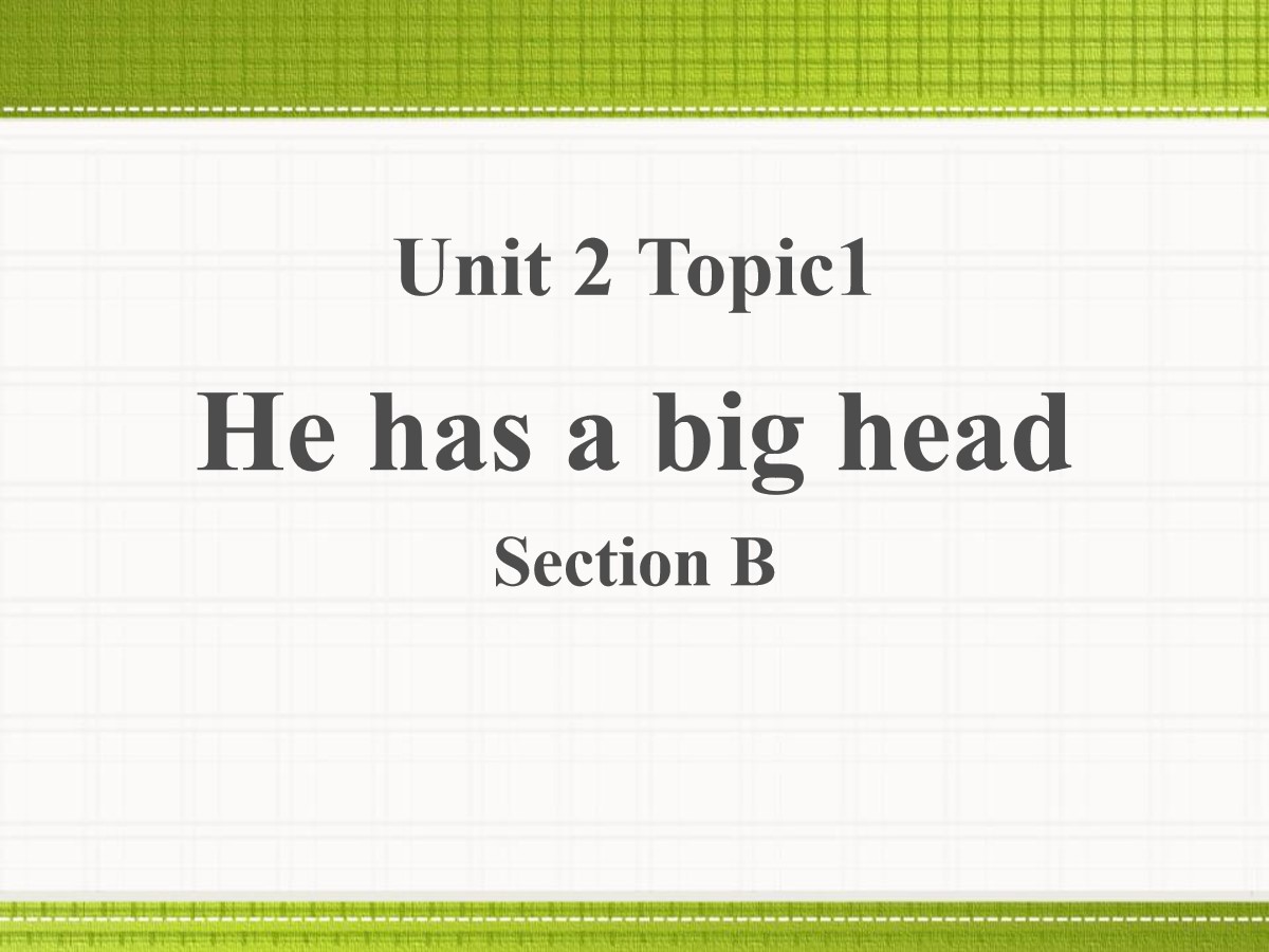 《He has a big head》SectionB PPT