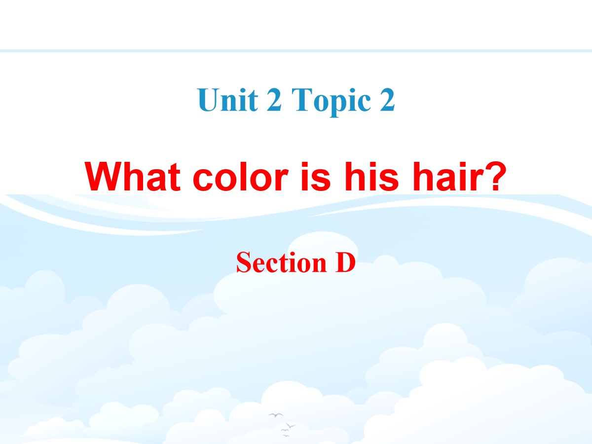 《What color is his hair?》SectionD PPT