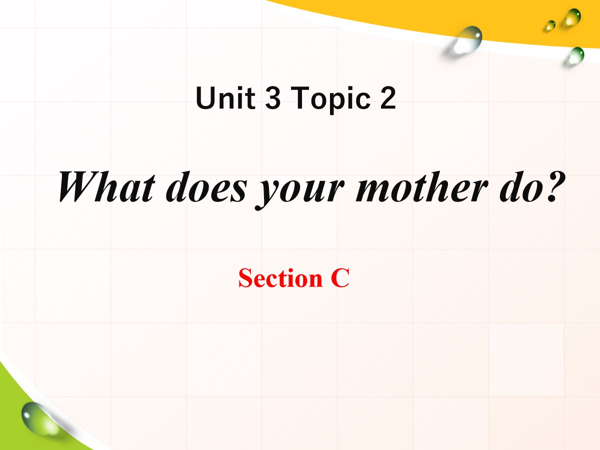 《What does your mother do?》SectionC PPT