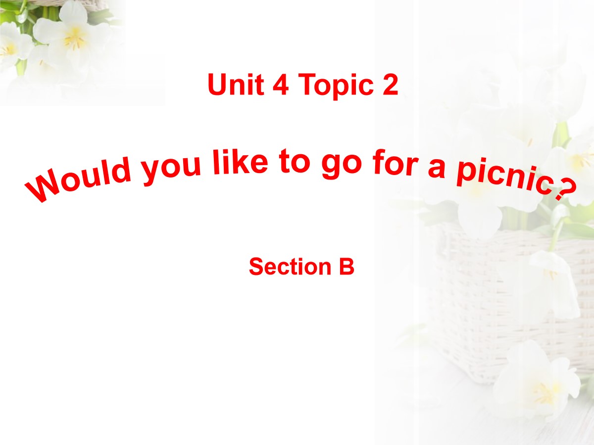 《Would you like to go for a picnic?》SectionB PPT