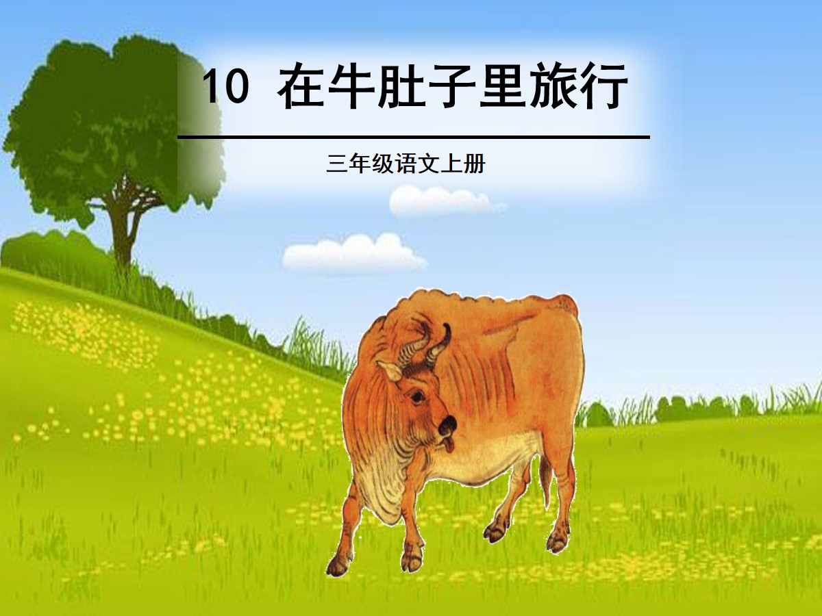 《在牛肚子里旅行》PPT