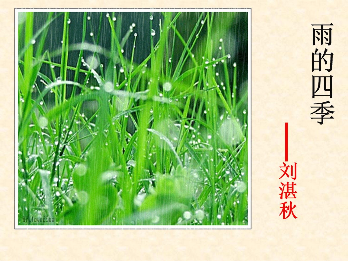 《雨的四季》PPT