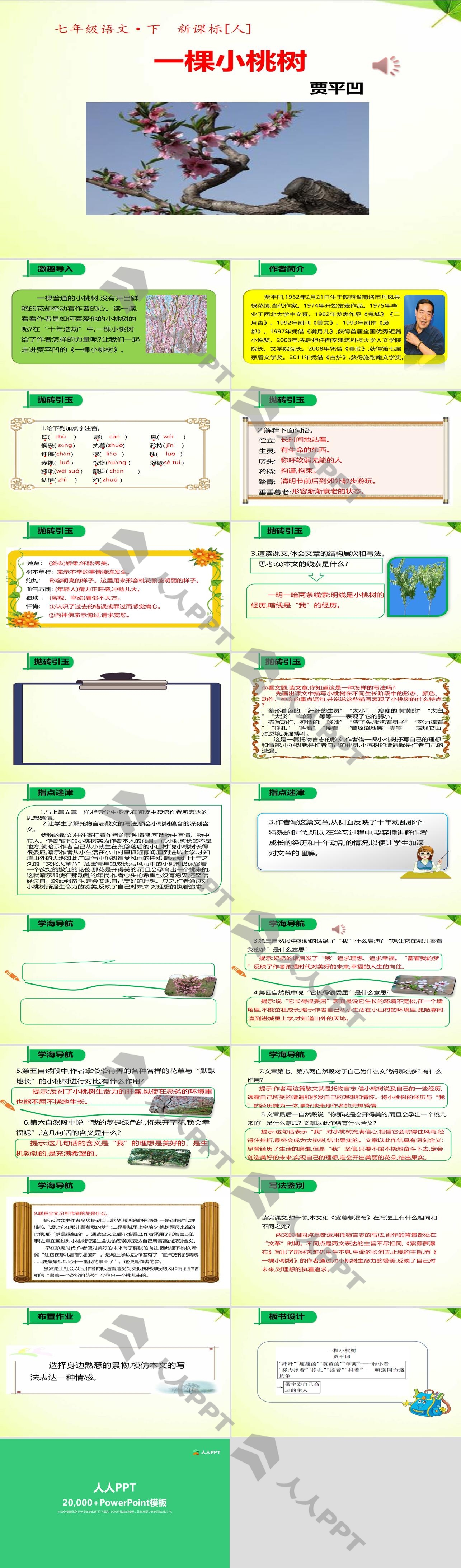 《一棵小桃树》PPT课件长图