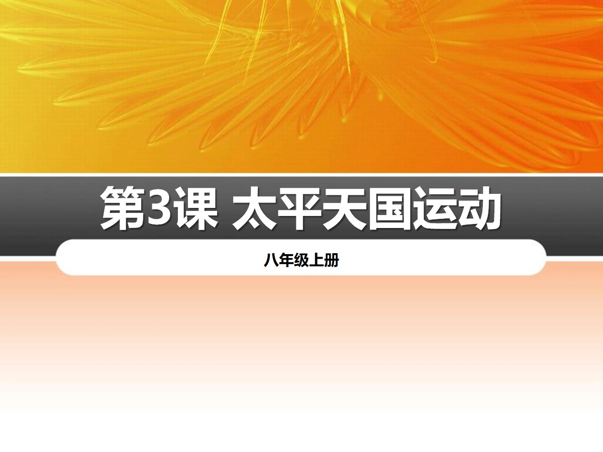 《太平天国运动》PPT课件