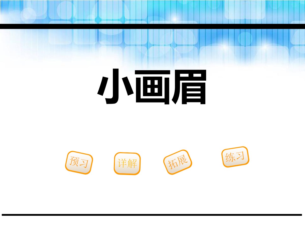 《小画眉》PPT