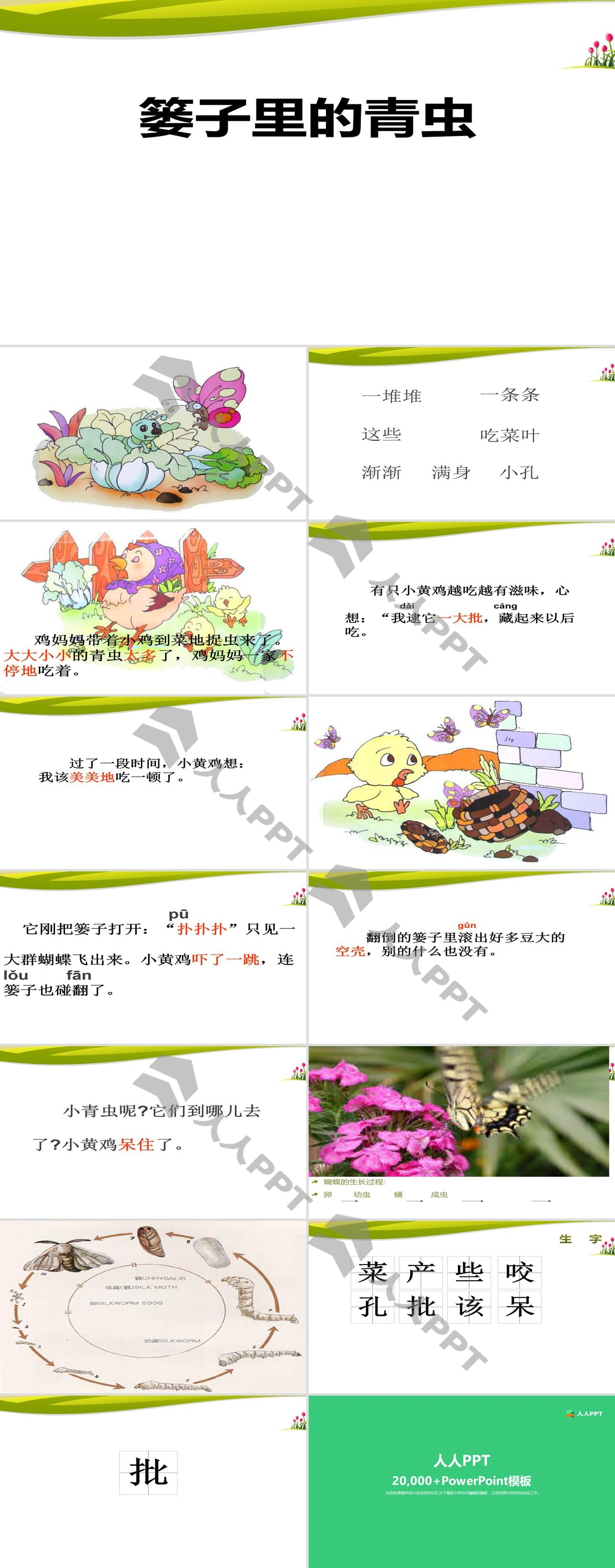 《篓里的青虫》PPT长图