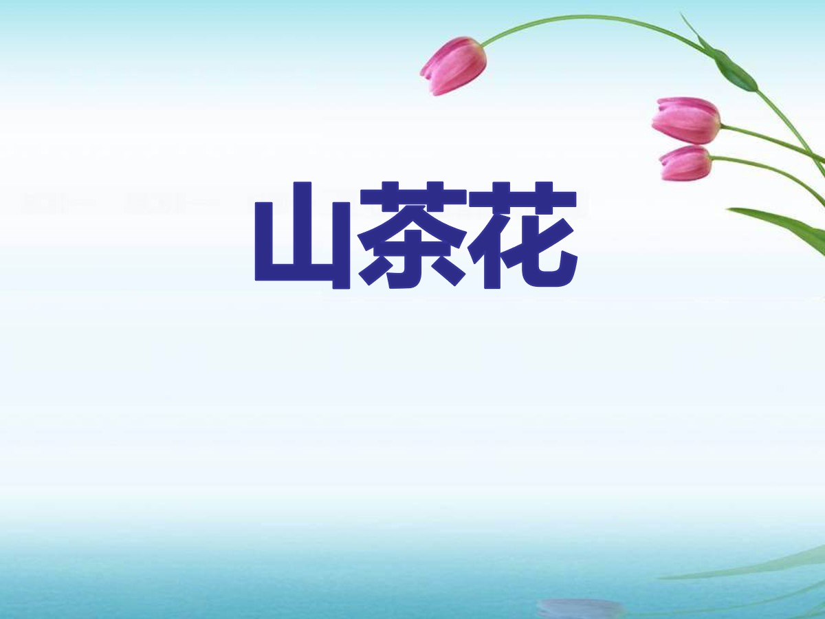 《山茶花》PPT