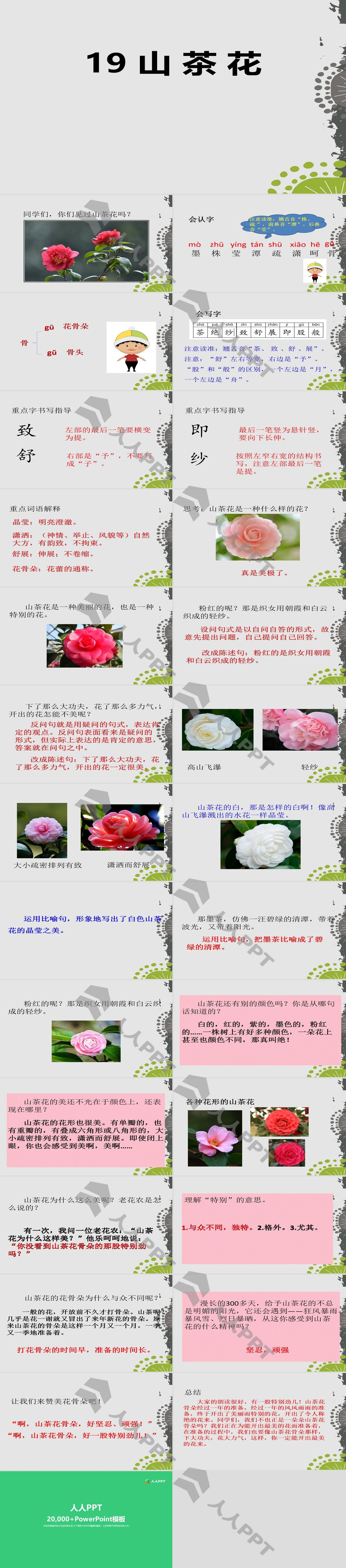 《山茶花》PPT课件长图