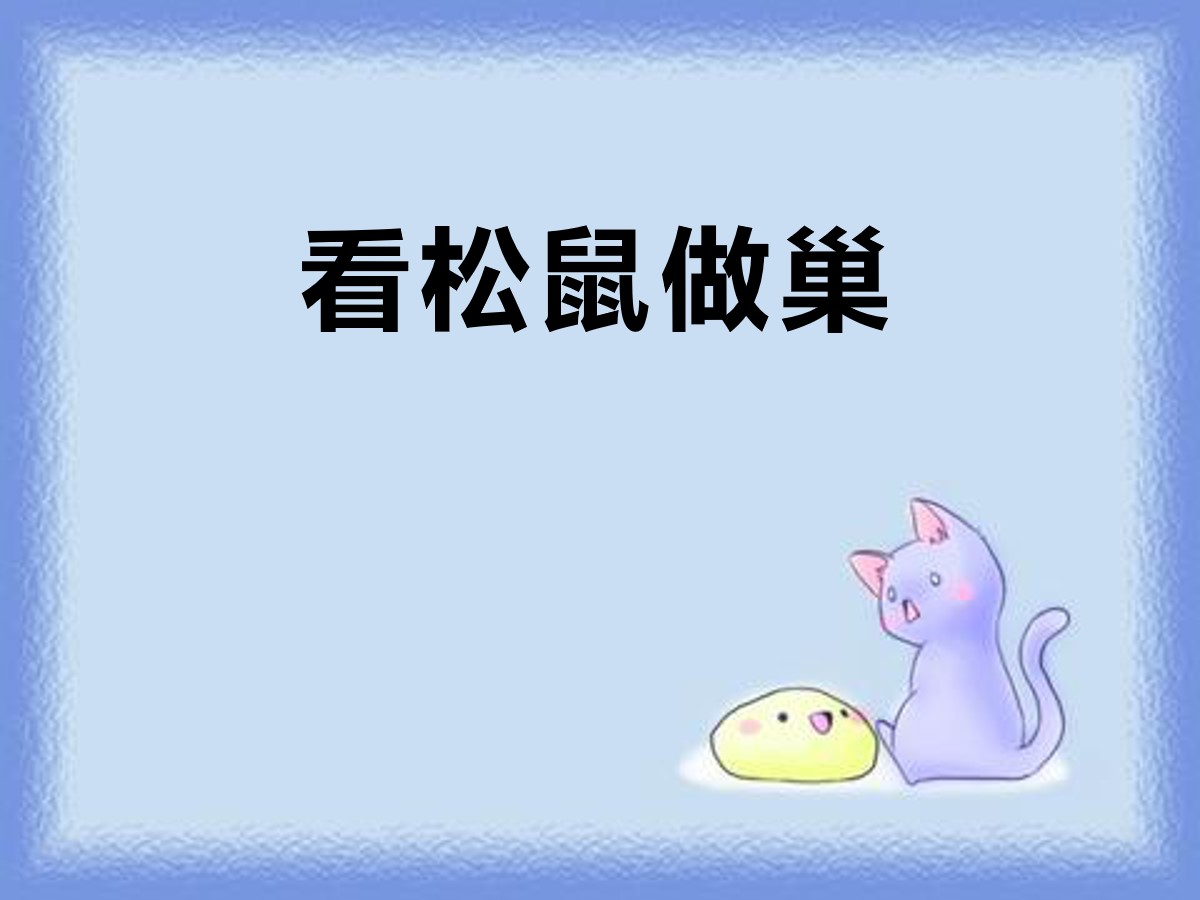 《看松鼠做巢》PPT