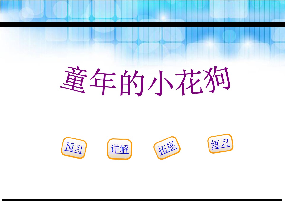 《童年的小花狗》PPT