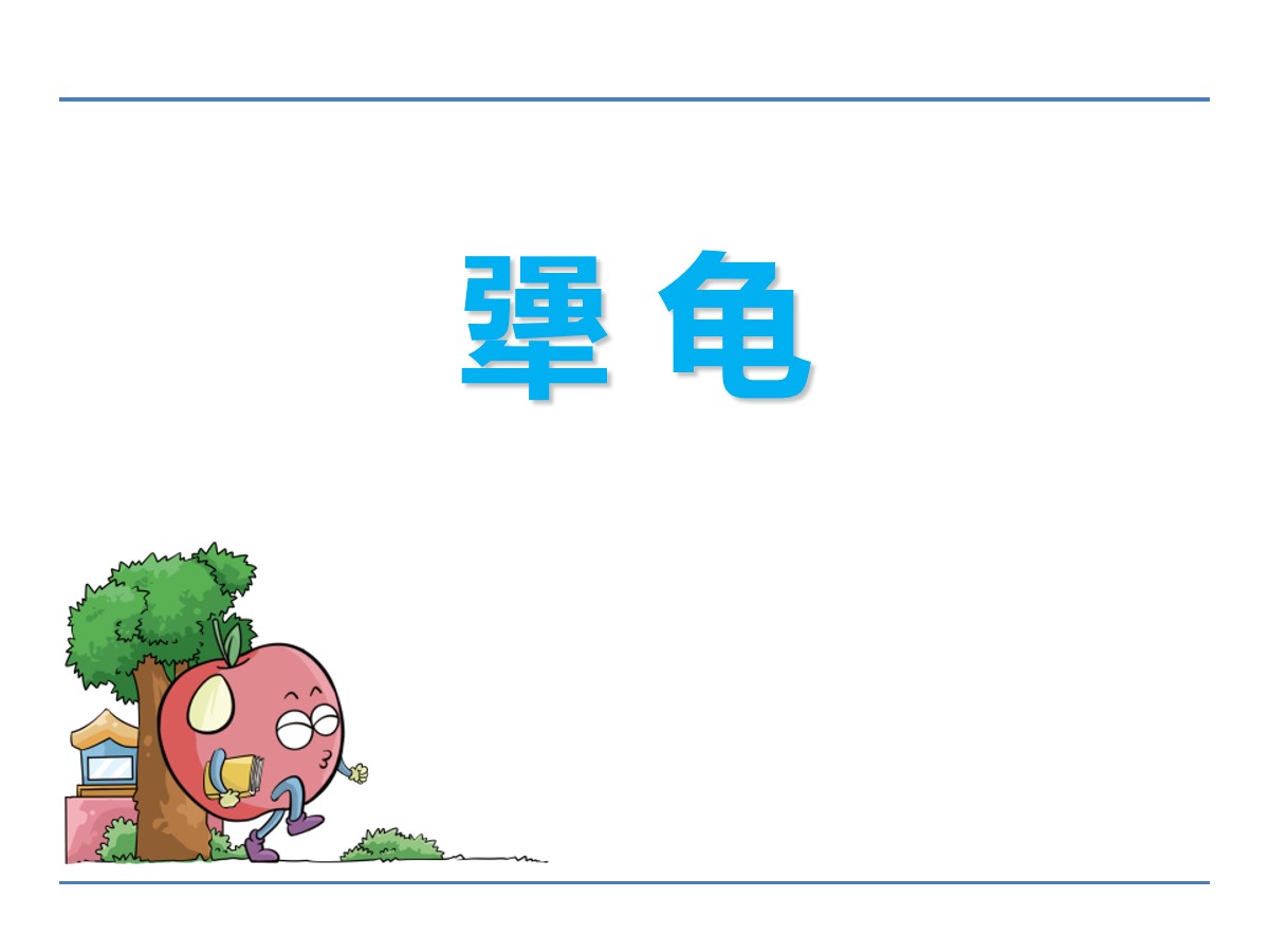 《犟龟》PPT