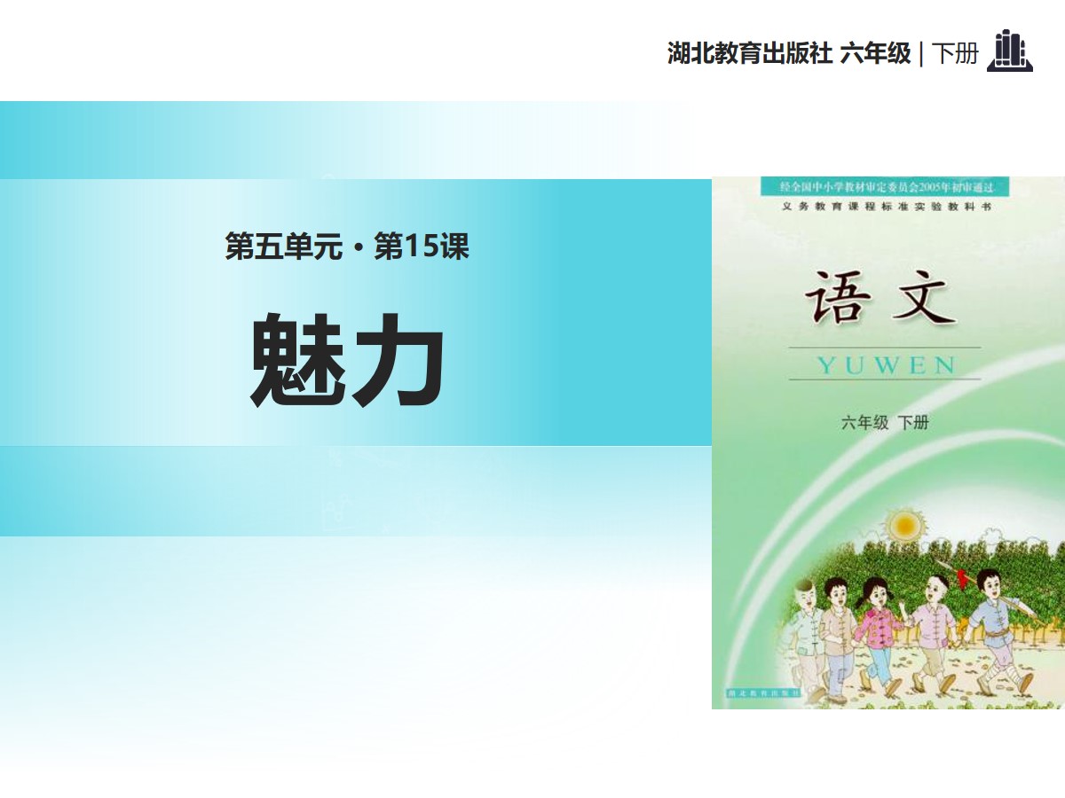 《魅力》PPT