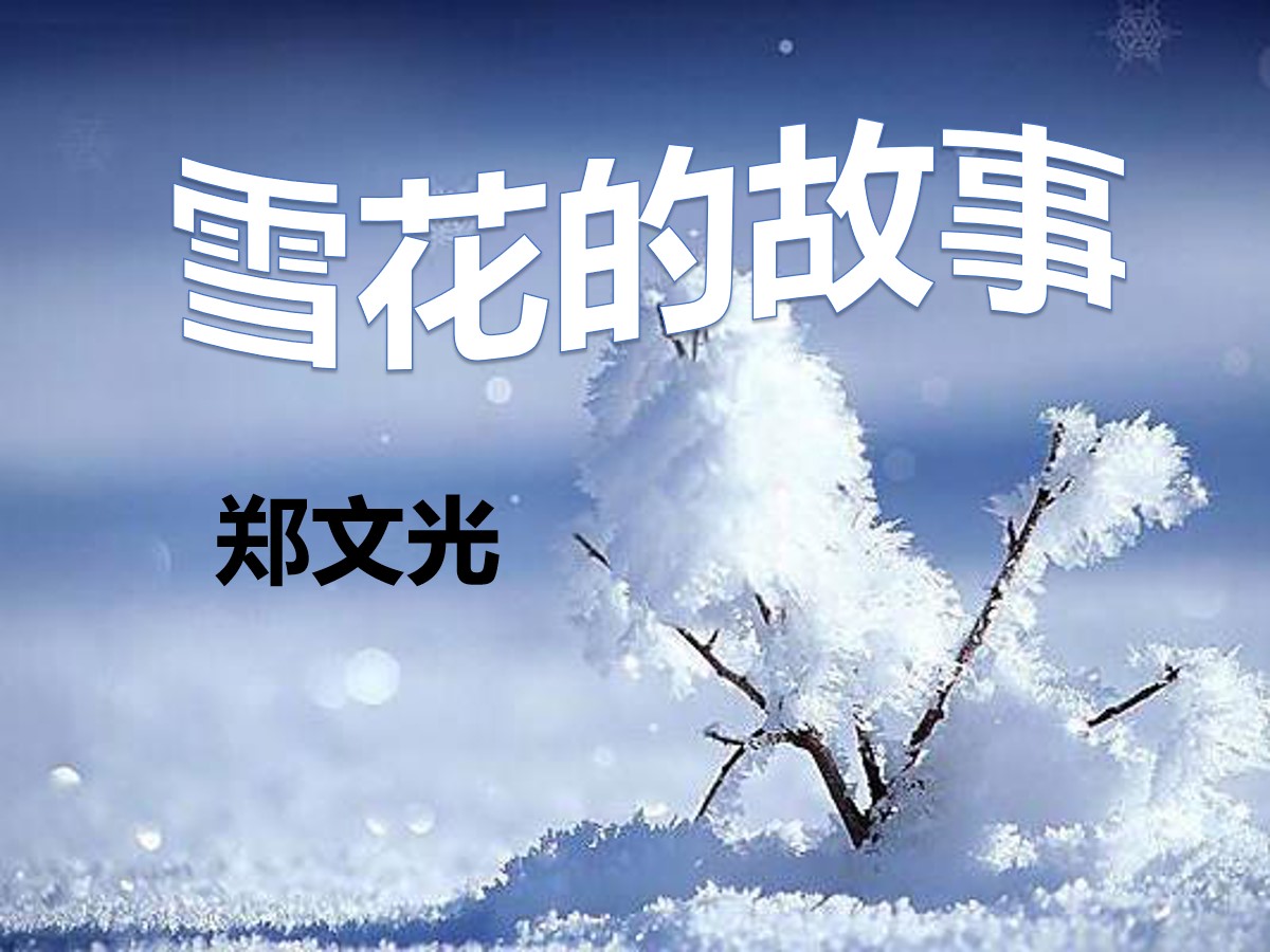 《雪花的故事》PPT