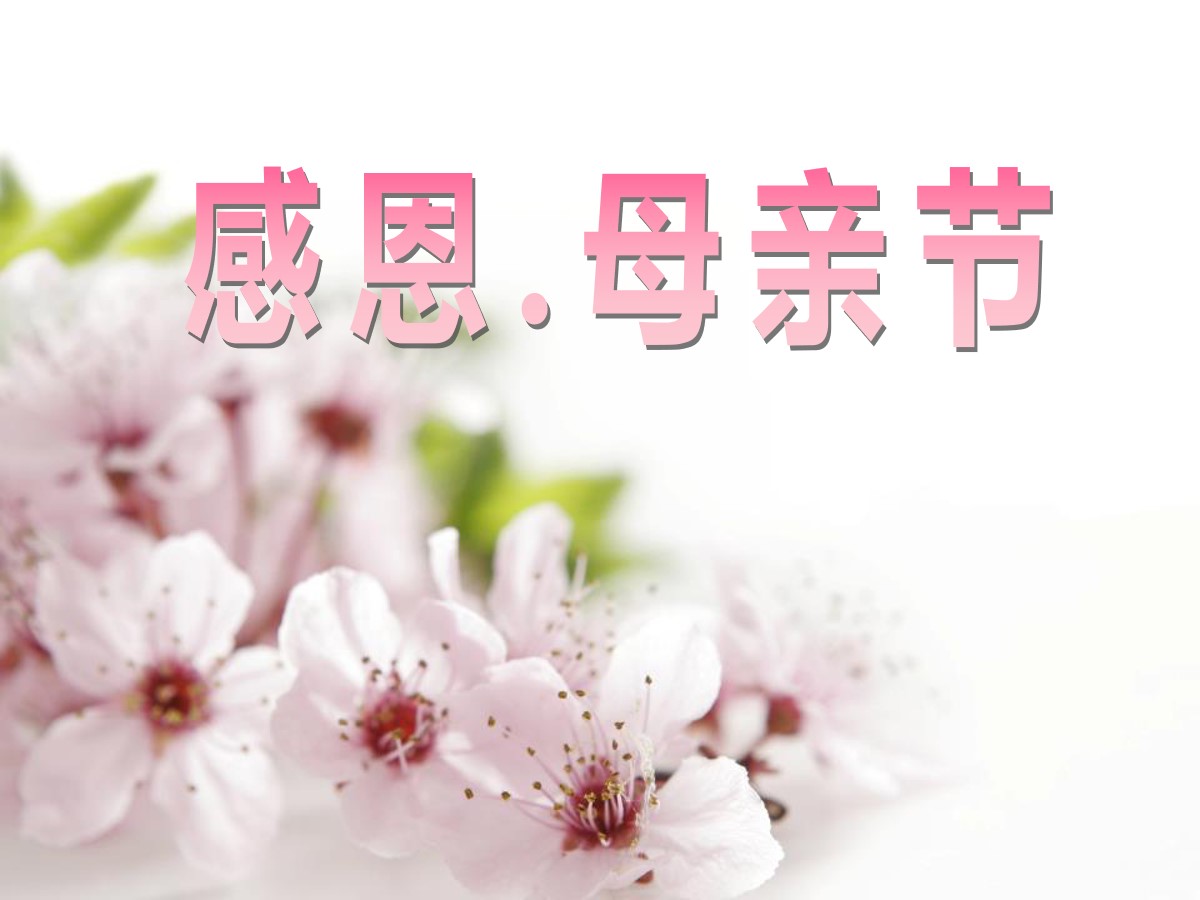 《感恩.母亲节》PPT