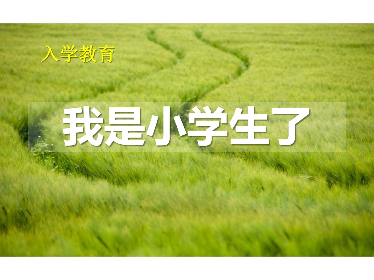 《我是小学生了》PPT