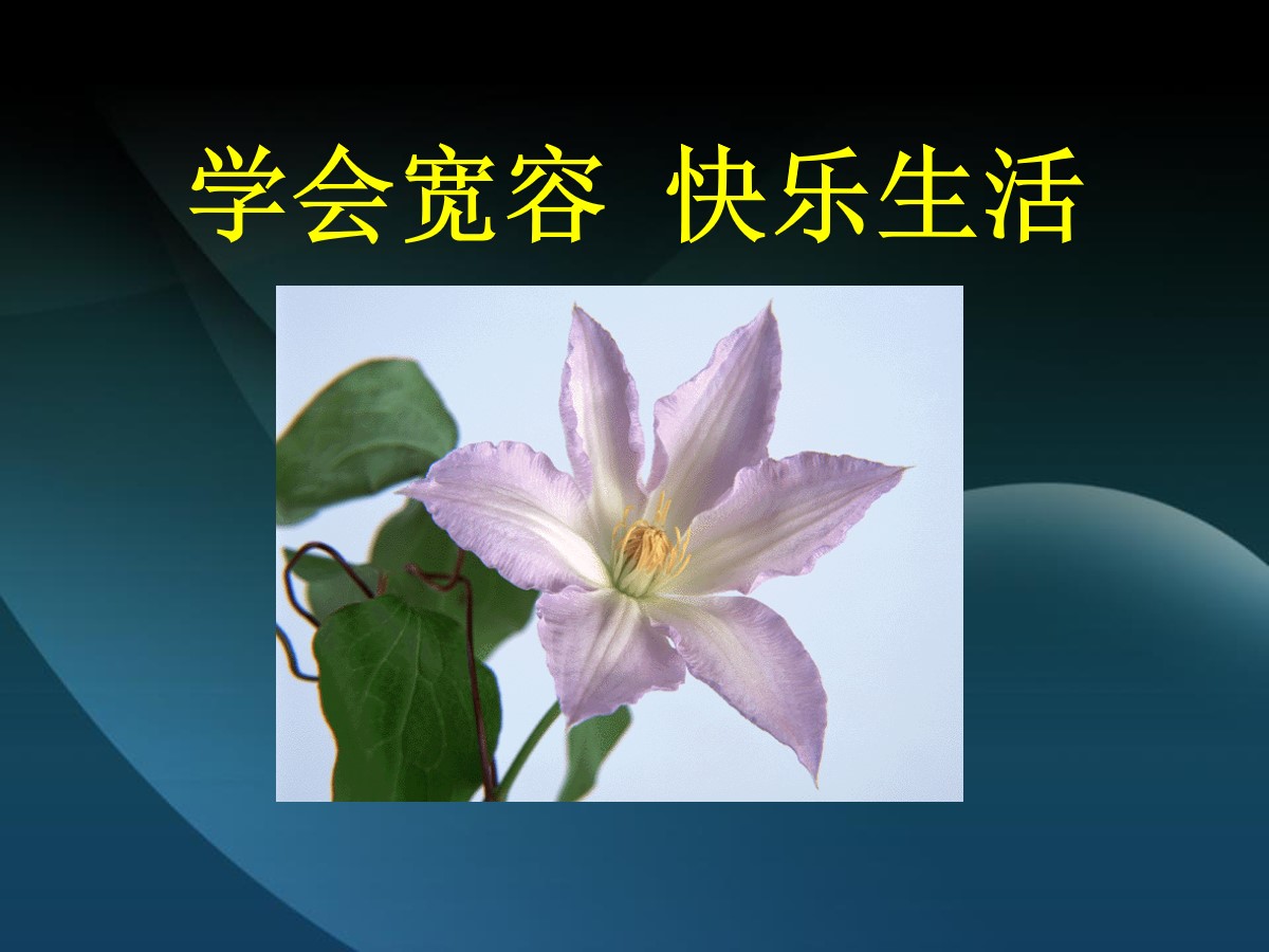 《学会宽容 快乐生活》PPT