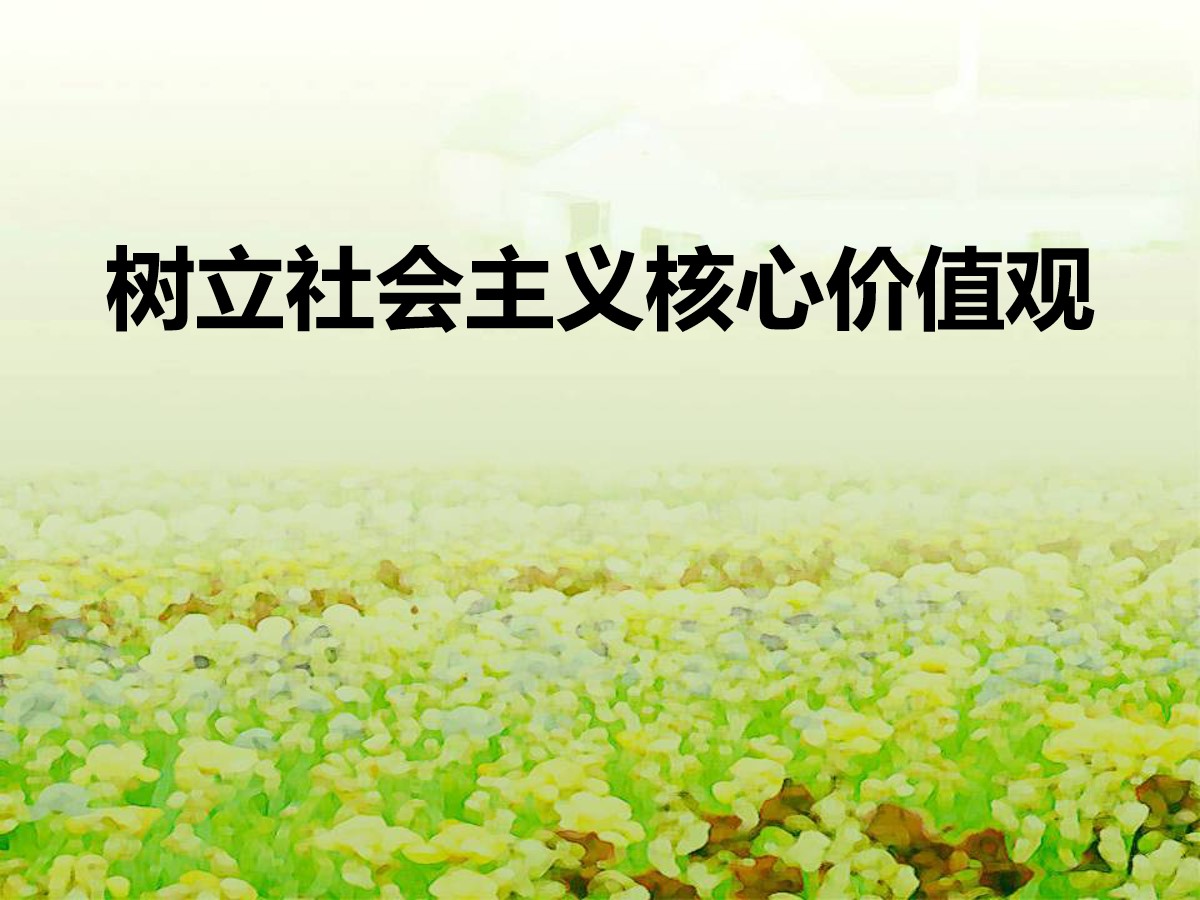 《树立社会主义核心价值观》PPT