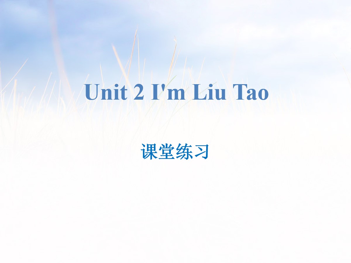 《I'm Liu Tao》课堂练习PPT